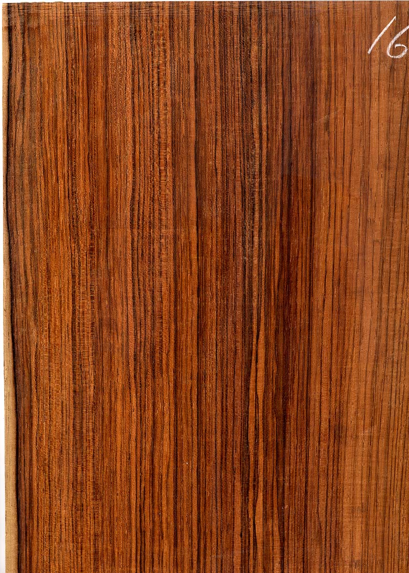 Brazilian Rosewood set 16